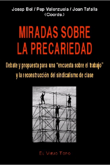 Miradas sobre la precariedad. Debate y propuesta para una encuesta sobre el trabajo y la reconstrucción del sindicalismo de clase