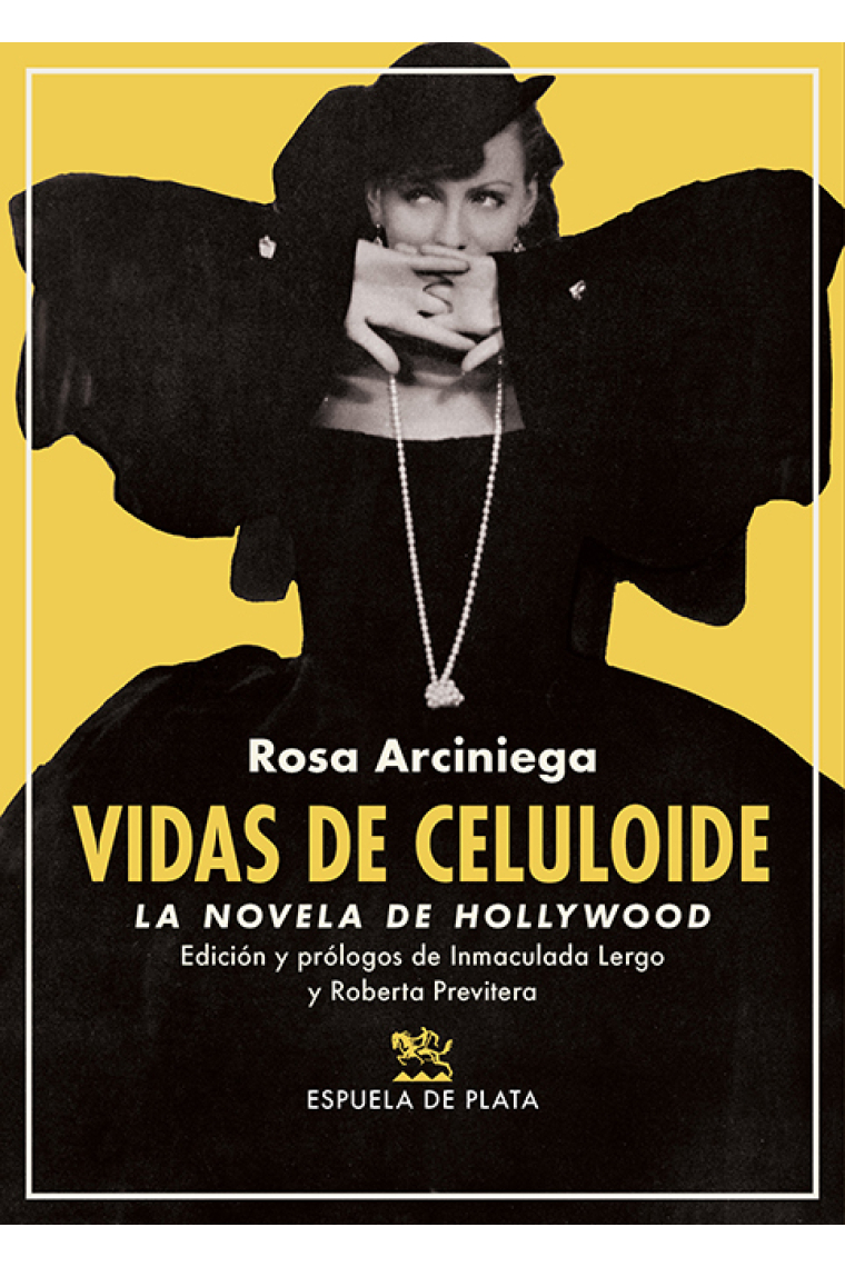 Vidas de celuloide. La novela de Hollywood