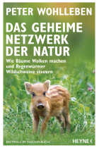 Das geheime Netzwerk der Natur: Wie Bäume Wolken machen und Regenwürmer Wildschweine steuern