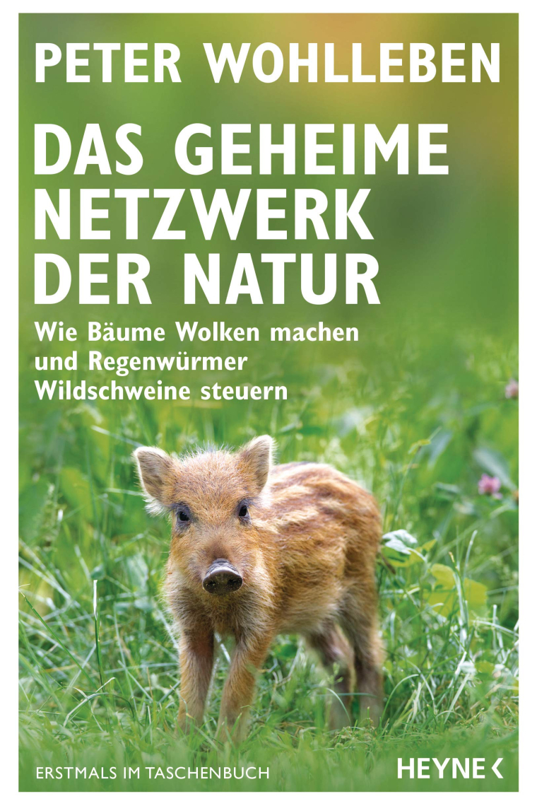 Das geheime Netzwerk der Natur: Wie Bäume Wolken machen und Regenwürmer Wildschweine steuern