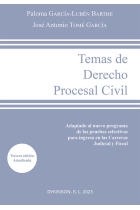 TEMAS DE DERECHO PROCESAL CIVIL