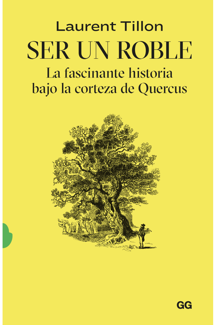 Ser un roble. La fascinante historia bajo la corteza de Quercus