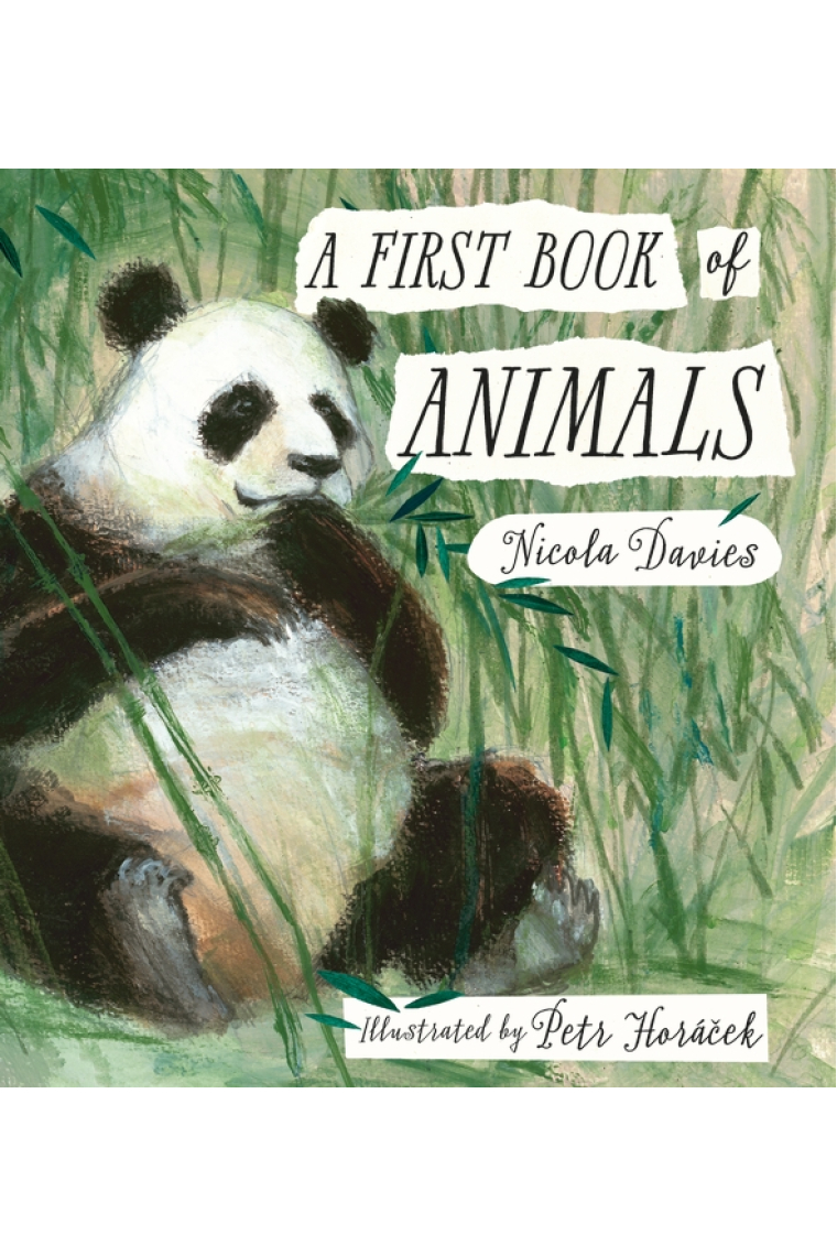 A First Book of Animals