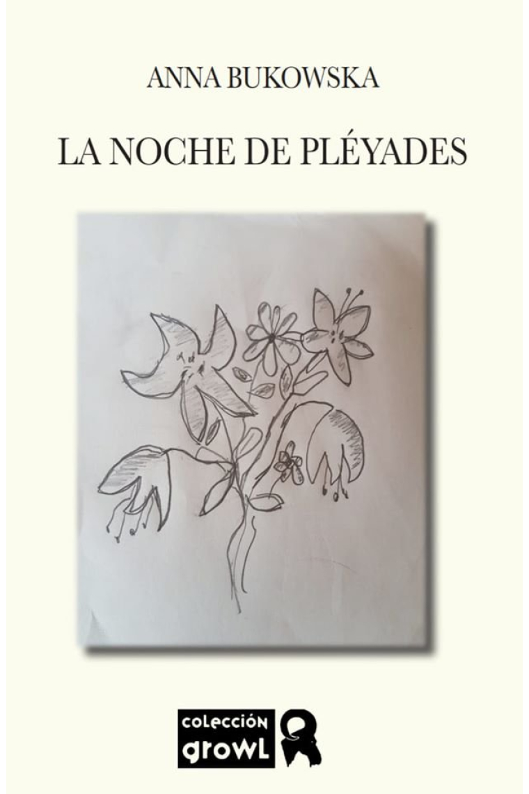 LA NOCHE DE PLÉYADES