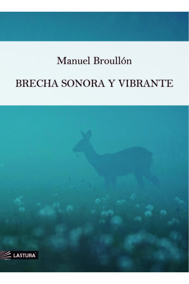 BRECHA SONORA Y VIBRANTE