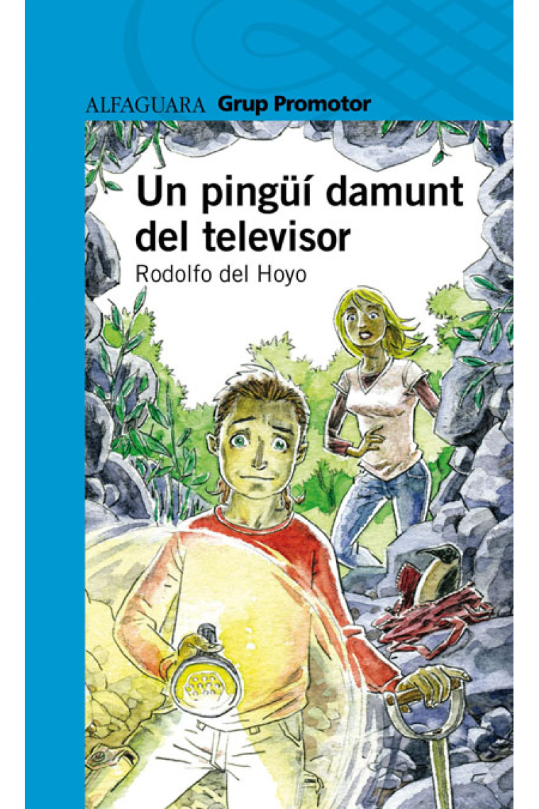 Un pingüí damunt el televisor