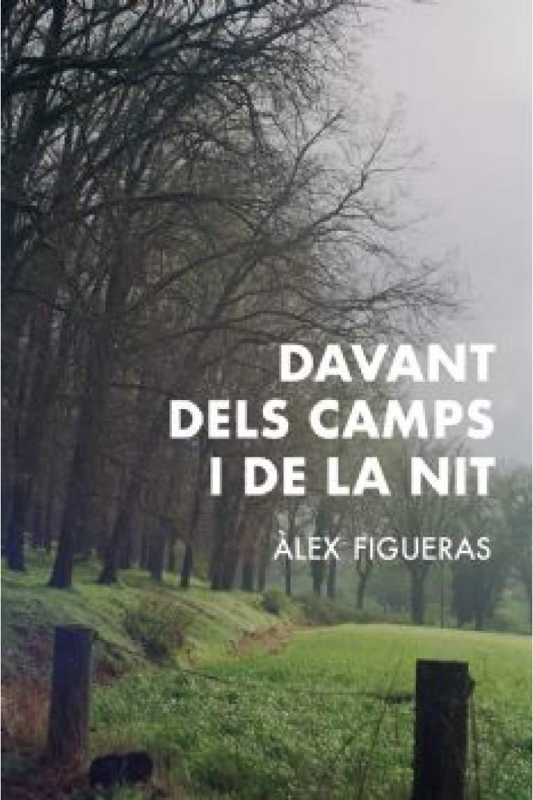 Davant dels camps i de la nit