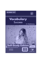 Vocabulary Success B1 Preliminary