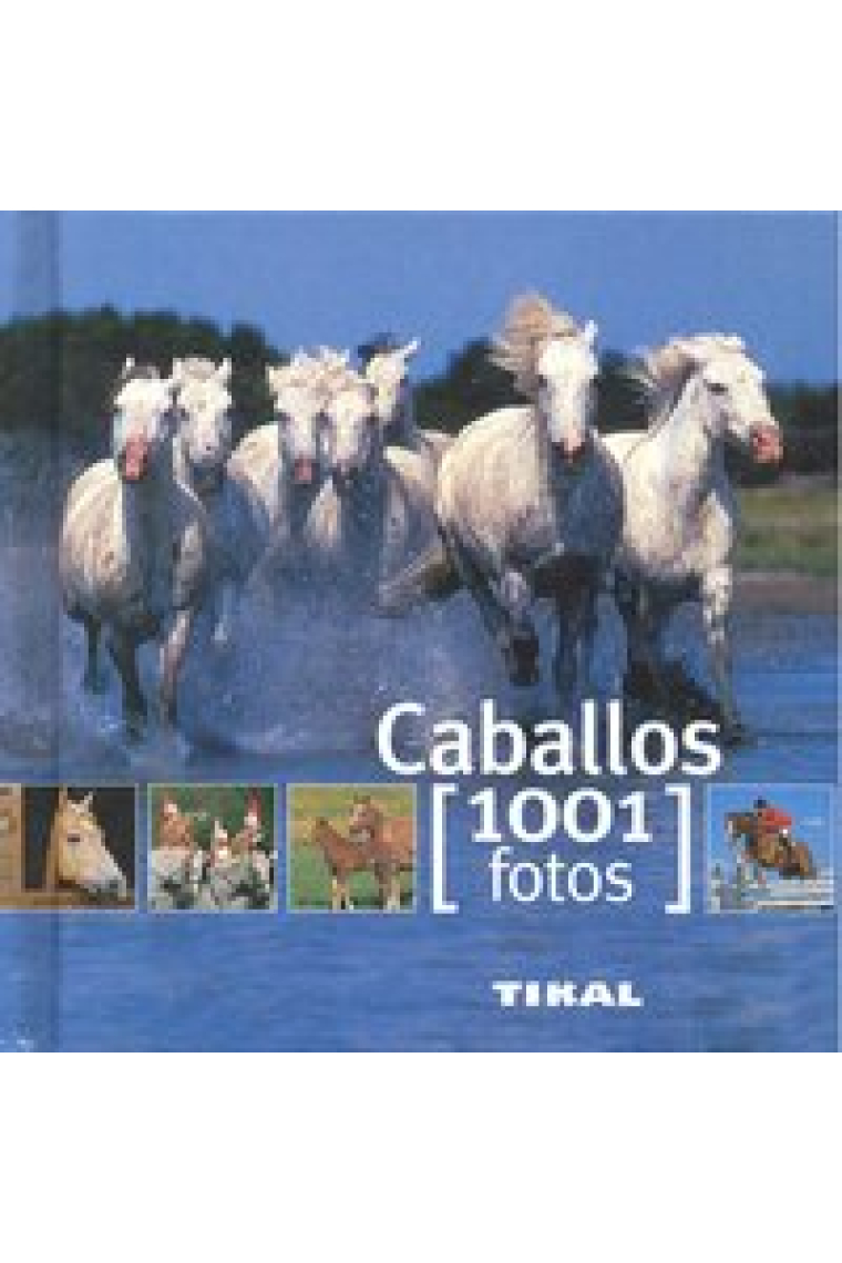 Caballos