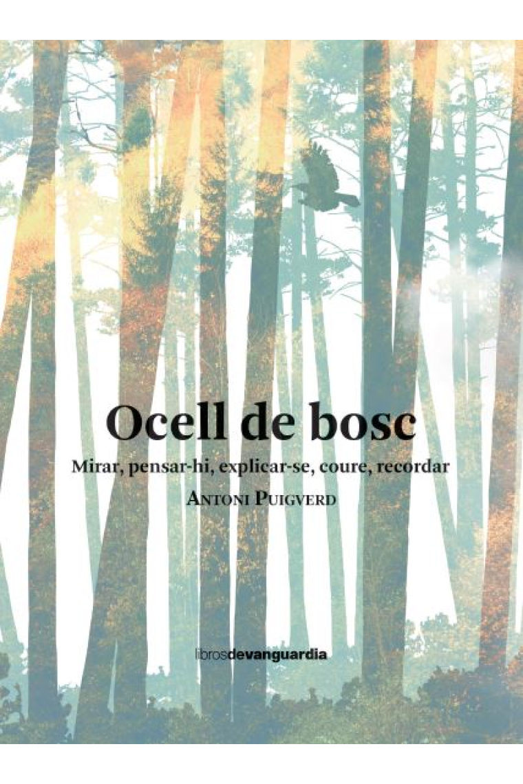 Ocell de bosc. Mirar, pensar-hi, explicar-se, coure, recordar