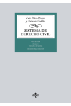 Sistema de Derecho Civil. Volumen IV (Tomo 1). Derecho de familia