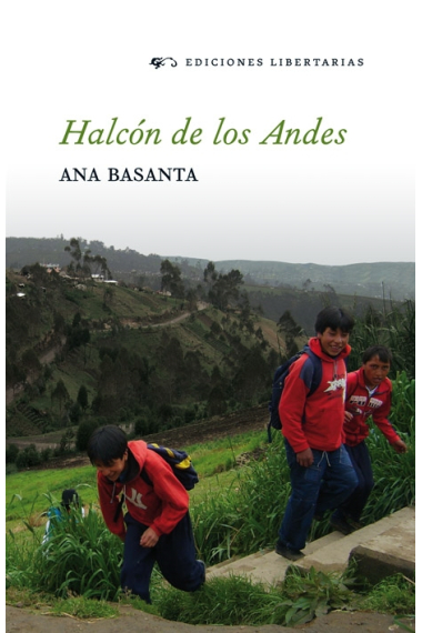 Halcón de los Andes