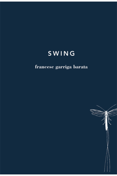 Swing