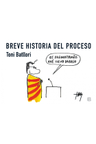 Breve historia del proceso