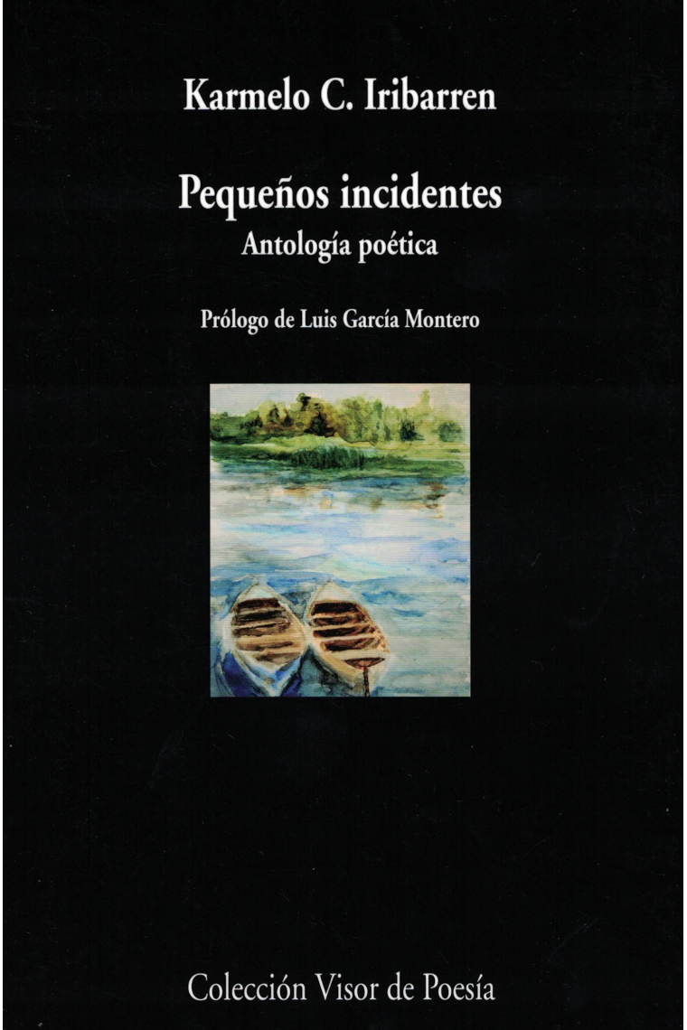 Pequeños incidentes. Antología poética