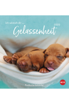 Ich wünsch dir... Gelassenheit 2020 Postkartenkalender