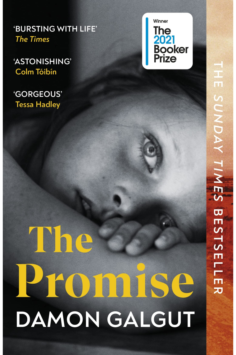 The Promise (The 2021 Booker Prize)