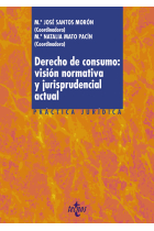 Derecho de consumo: visión normativa y jurisprudencial actual