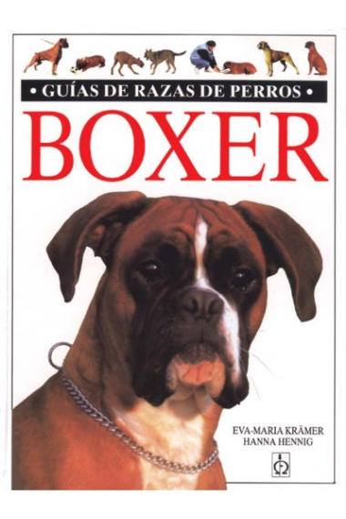 Boxer. Guías de razas de perros.