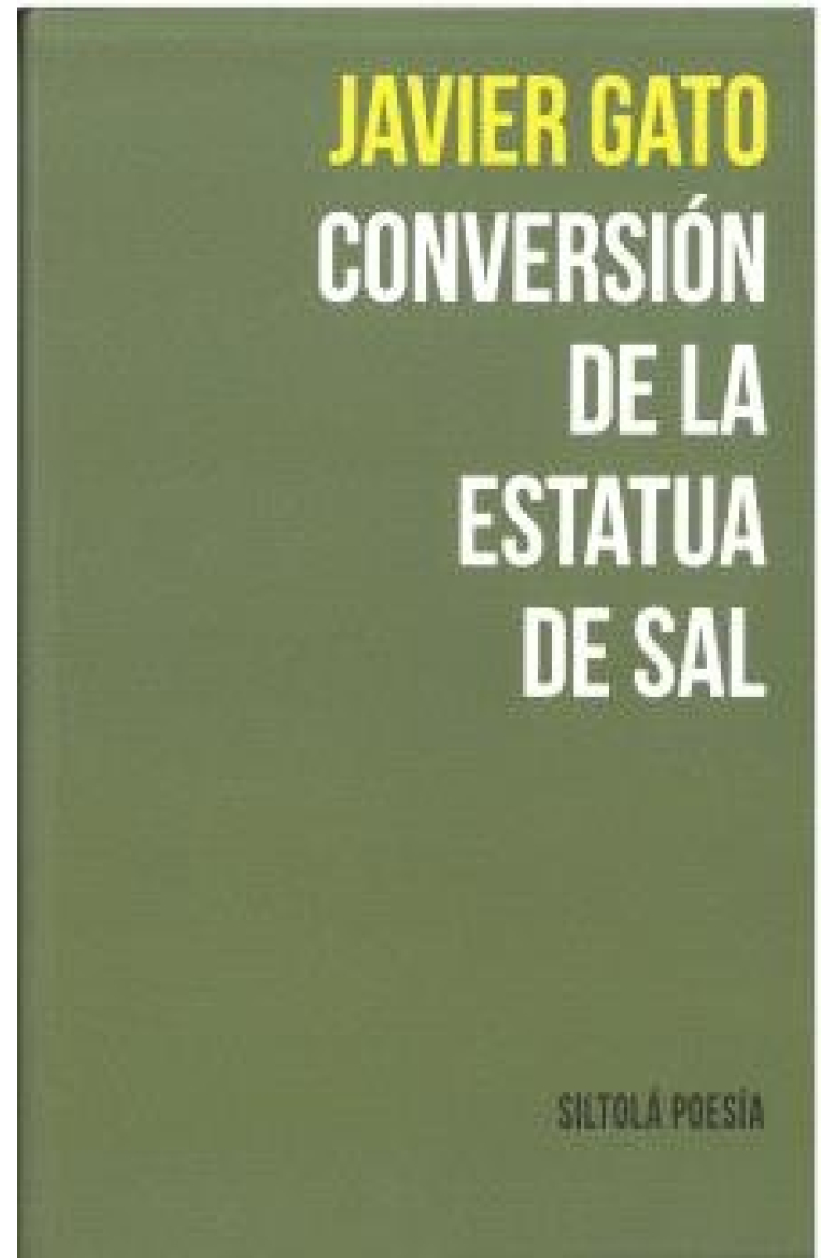 CONVERSION DE LA ESTATUA DE SAL