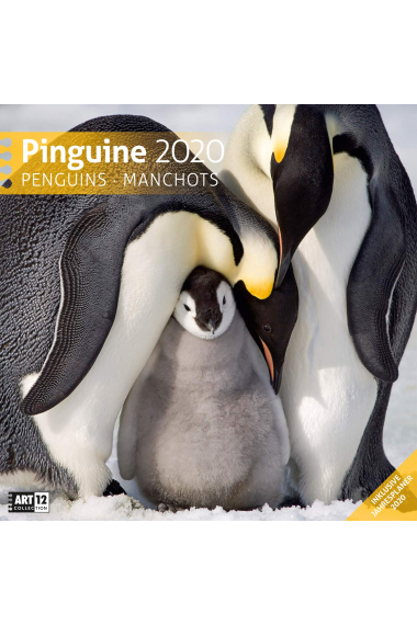 Pinguine 2020 Broschürenkalender