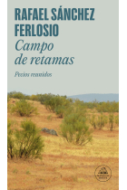 Campo de retamas (Pecios reunidos)