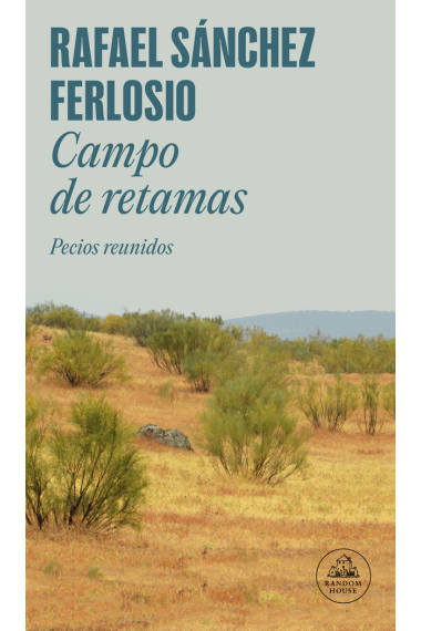 Campo de retamas (Pecios reunidos)