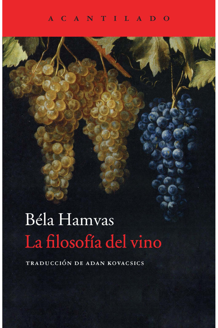 Filosofía del vino