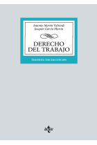 Derecho del Trabajo (2024)