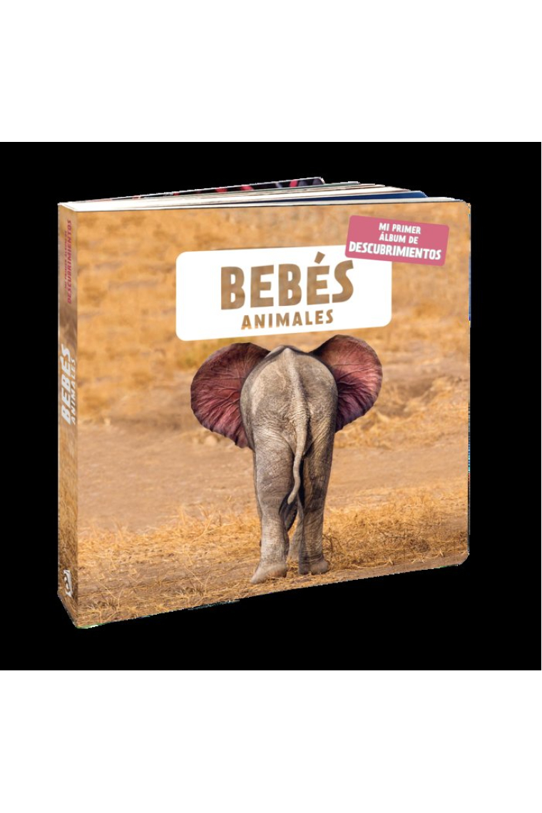 Bebés animales (Mi primer álbum de descubrimientos)