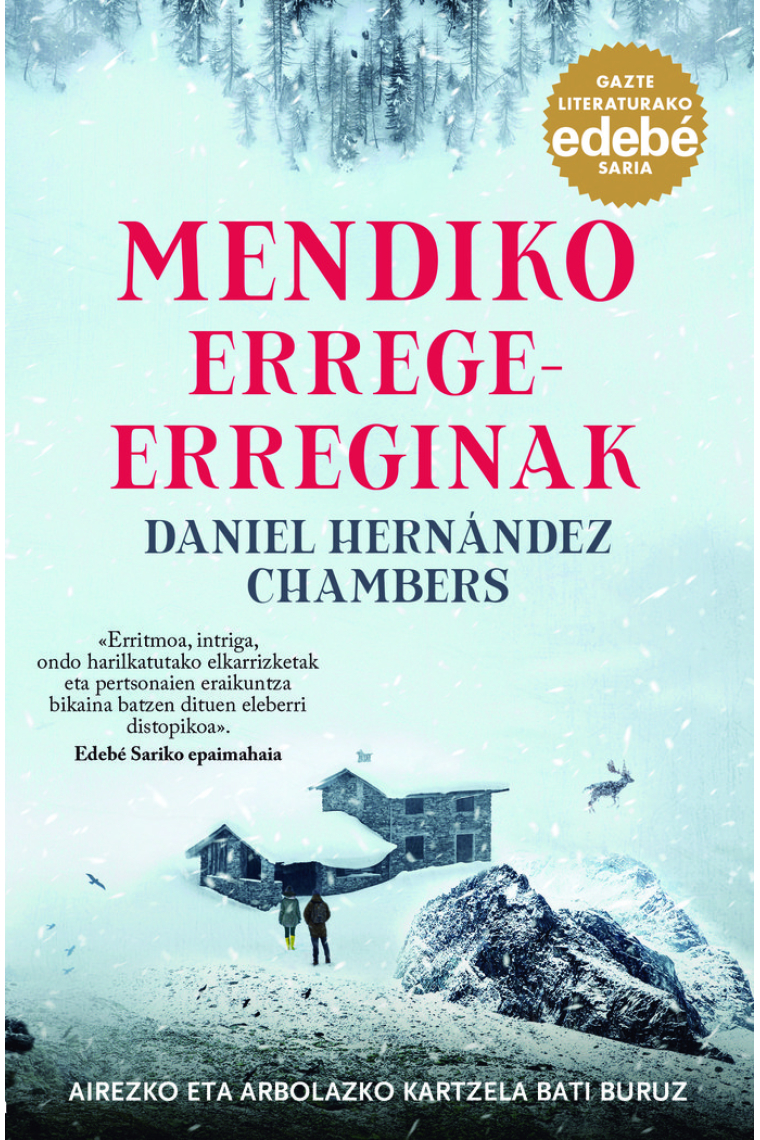 MENDIKO ERREGE ERREGINAK PREMIO EDEBE DE LITERATURA JUVENIL