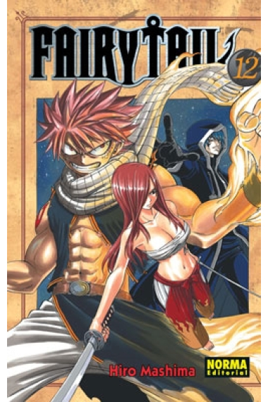 Fairy Tail 12