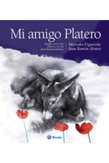 Mi amigo Platero