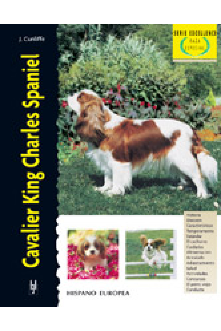 Cavalier King Charles Spaniel