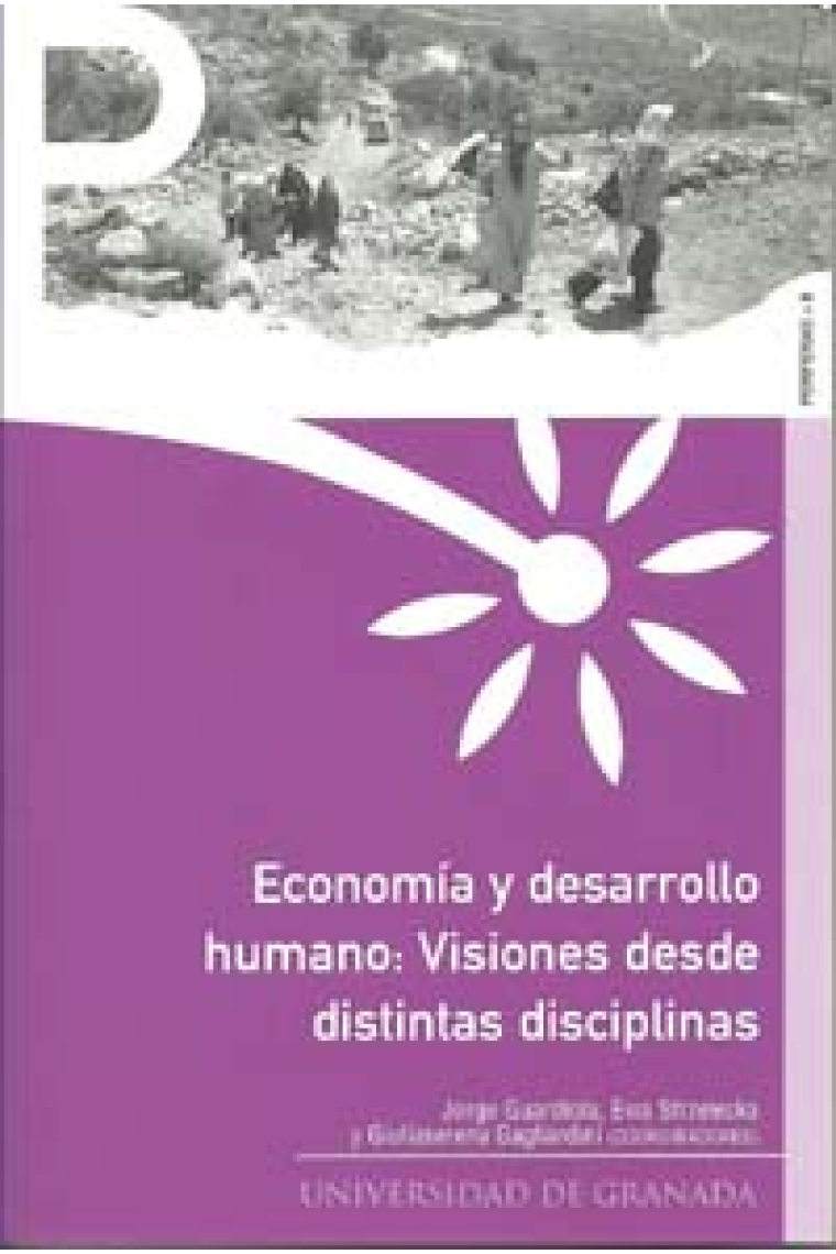 Economías y desarrollo humano: Visiones desde distintas disciplinas