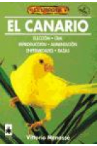 El canario