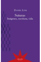 Suturas: imágenes, escritura, vidas