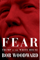 Fear. Trump in the White House