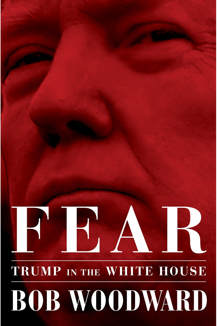 Fear. Trump in the White House