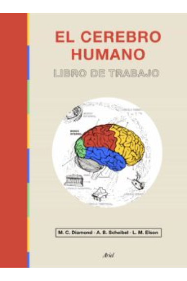 El cerebro humano. Libro de trabajo. Nuevo edición