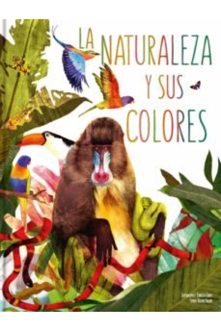 LA NATURALEZA Y SUS COLORES