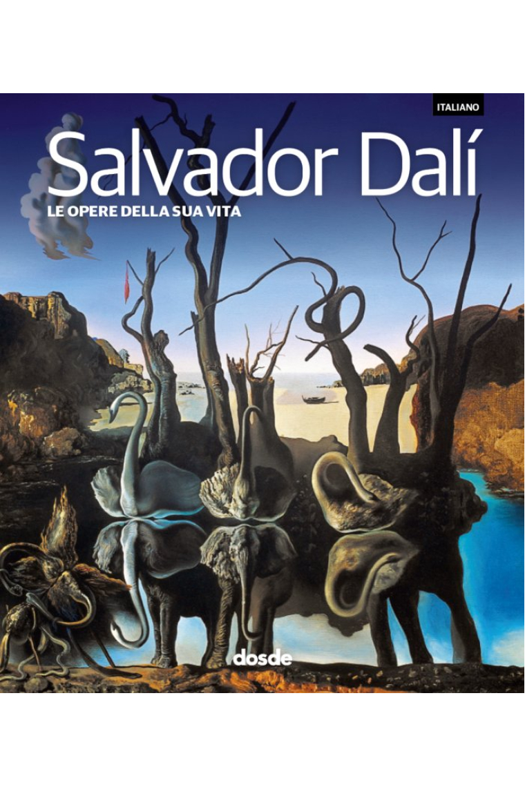 SERIE ARTE SALVADOR DALI OBRAS