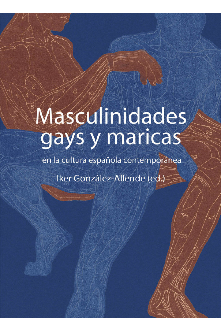 Masculinidades gays y maricas en la cultura española contemporánea
