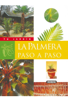 La palmera paso a paso