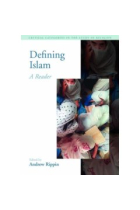 Defining Islam: a reader