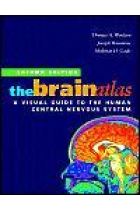 The brain atlas: a virtual guide..