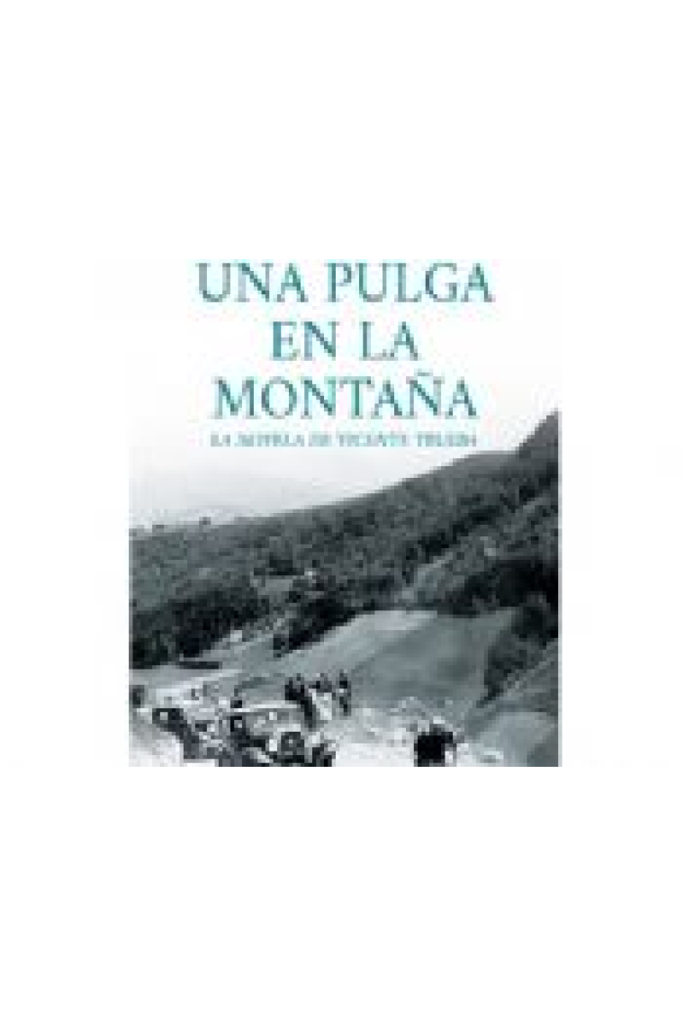 Una pulga en la montaña. La novela de Vicente Trueba