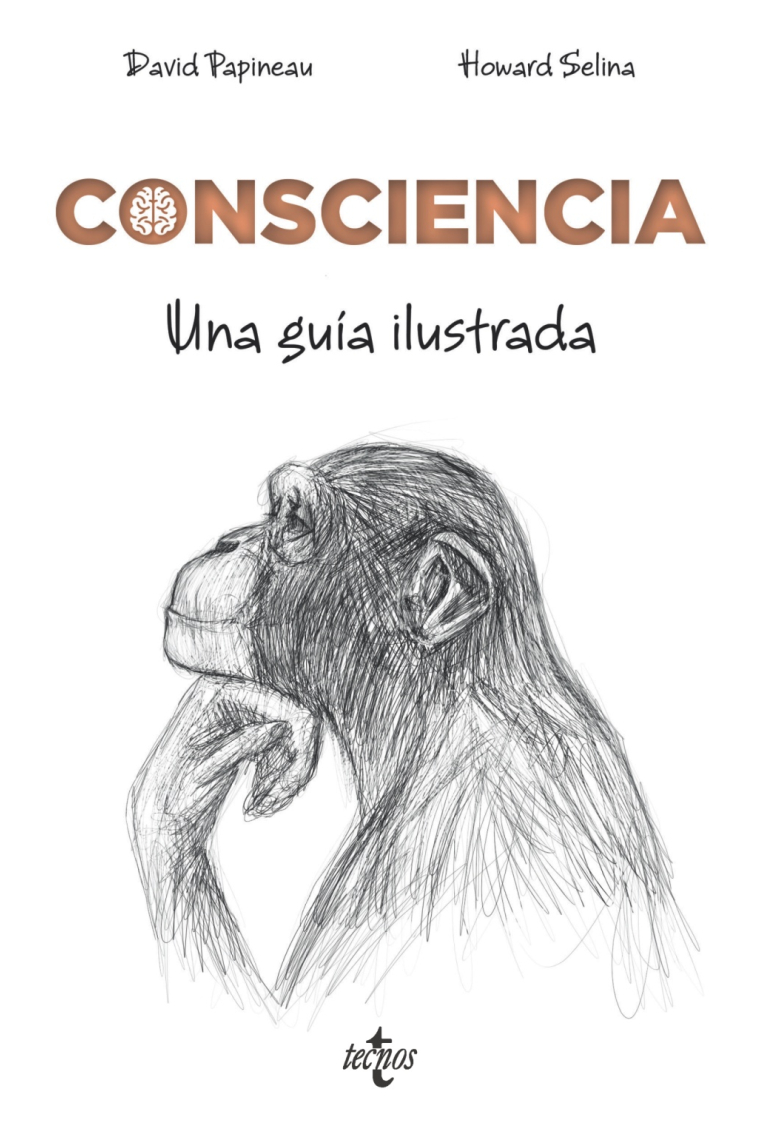 Consciencia: una guía ilustrada