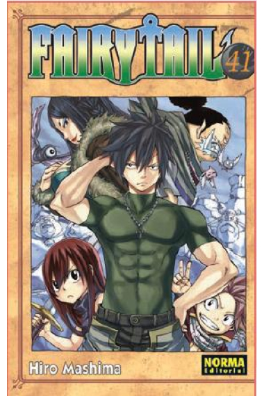 Fairy Tail 41