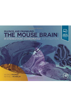 Paxinos and Franklin's the Mouse Brain in Stereotaxic Coordinates: Compact 5th Edition